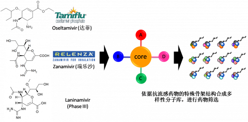 图2：以现有抗流感药物的结构为基础，进行多样性药物分子库的合成。