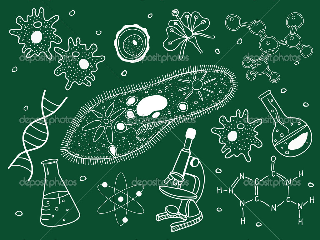 Nature：科学家找到杀死抗药细菌的新靶点