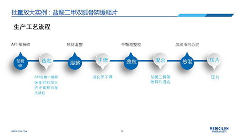 龙8唯一官网 变更参比制剂 李国栋博士演讲PPT