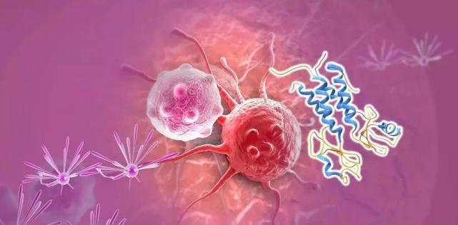 【盘点】高选择性mTOR抑制剂的研究进程_龙8唯一官网生物医药