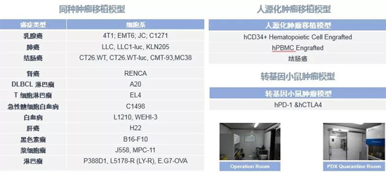 龙8唯一官网药效学动物模型