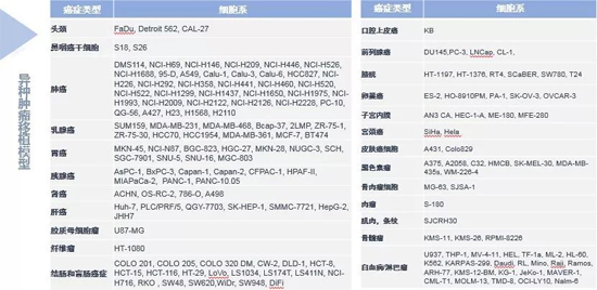 龙8唯一官网药效学动物模型