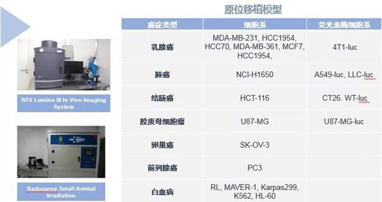 龙8唯一官网药效学动物模型