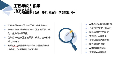 龙8唯一官网工艺与放大服务