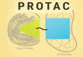 热点前沿:PROTAC初露锋芒，SD-36对抗肿瘤效果卓越