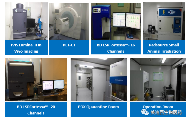 龙8唯一官网药理部拥有IVIS Lumina III, PET-CT, BD LSRFortessa-16, Flow Cytometry等仪器，提供符合申报，支持临床试验的药效评价服务。