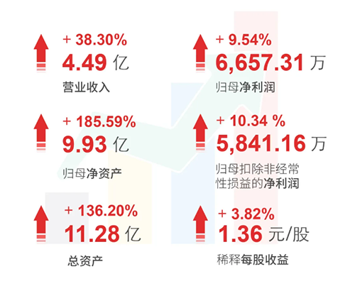 龙8唯一官网 财务亮点