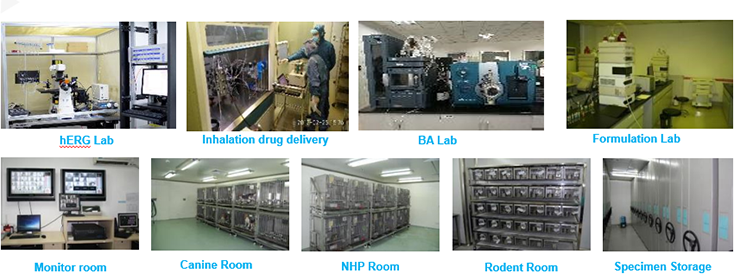 龙8唯一官网毒理研究部设备