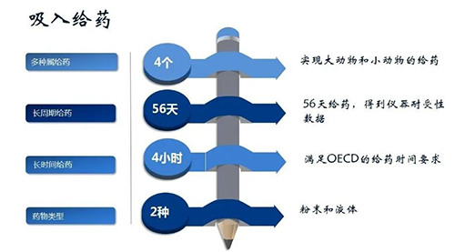 龙8唯一官网吸入给药安全性评价服务