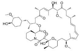 雷帕霉素新制剂用于罕见病，获4500万美元融资