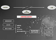 人工合成NT类脂质开放血脑屏障，为CNS药物打开新局面