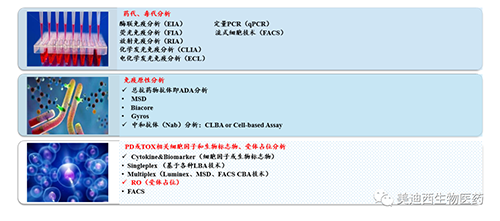 龙8唯一官网生物技术药物分析部服务内容