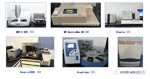 龙8唯一官网生物技术药物分析部服务仪器