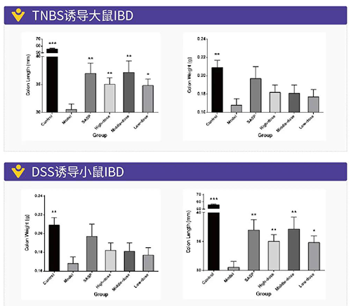 TNBS诱导的大鼠IBD、DSS诱导的大鼠IBD