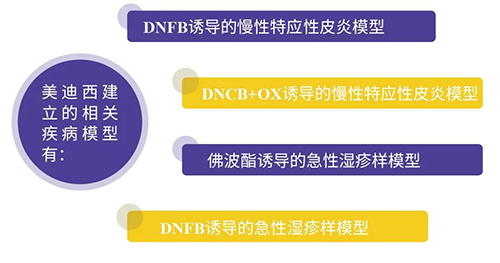 龙8唯一官网建立的特应性皮炎及湿疹模型