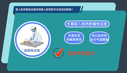 吸入安评是否全程采用吸入给药的方式完成试验呢？