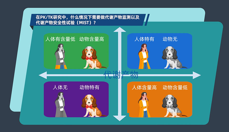 在PK-TK研究中，什么情况下需要做代谢产物监测以及代谢产物安全性试验（MIST）