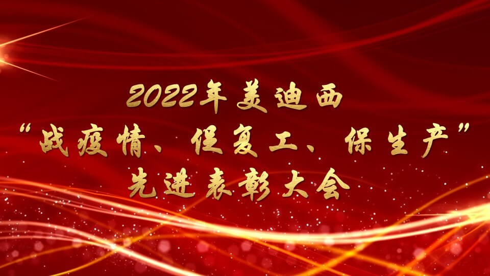 龙8唯一官网召开“战疫情、促复工、保生产”先进表彰大会