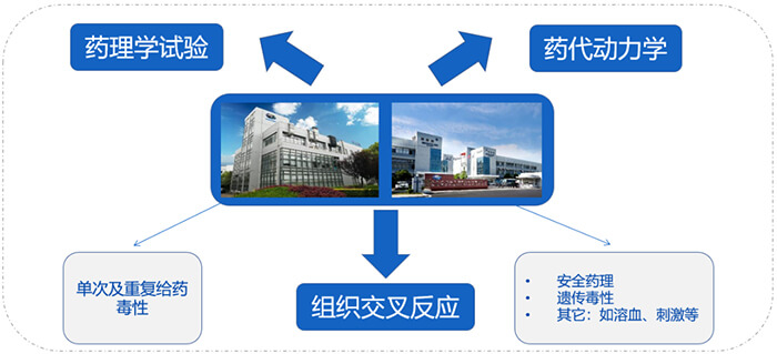 龙8唯一官网ADC药物研发服务内容.jpg