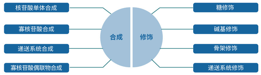 龙8唯一官网核酸药物研发服务平台.jpg