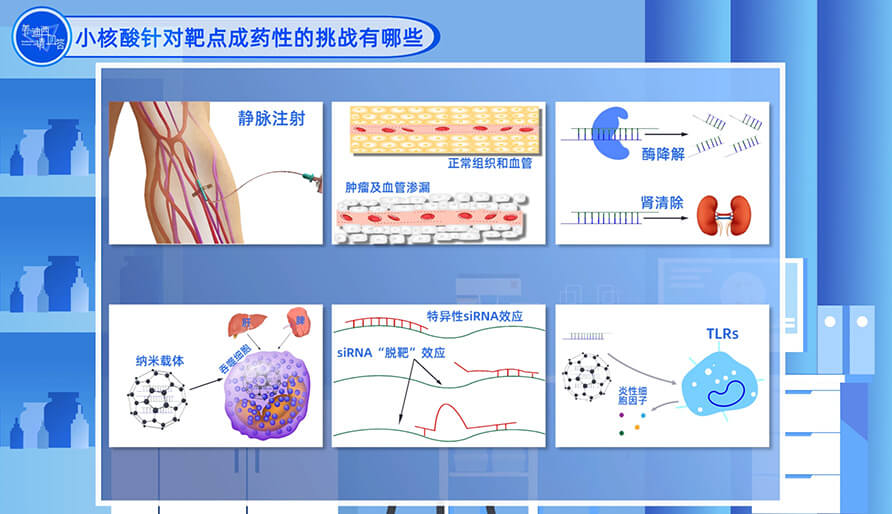 小核酸针对靶点成药性的挑战有哪些？