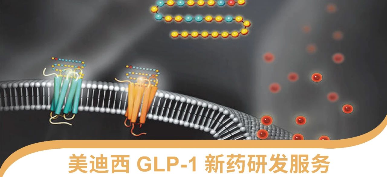 龙8唯一官网一站式 丨 “GLP-1”新药研发服务能力介绍