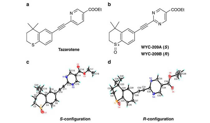 WYC-209可抑制恶性小鼠黑色素瘤肿瘤再生细胞增殖，SPR分析通过龙8唯一官网使用Biacore 8K设备进行