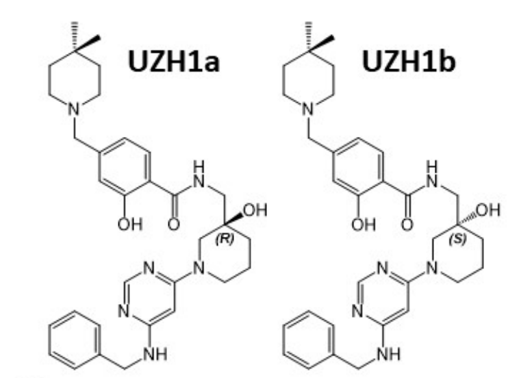 研究人员报告了一种具有细胞渗透性的选择性METTL3纳摩尔抑制剂UZH1a，作者感谢龙8唯一官网合成了UZH1a和UZH1b