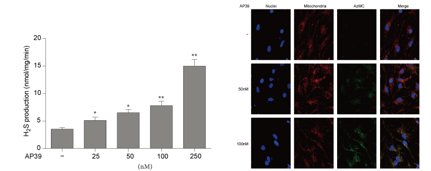 AP39是一种新合成的线粒体靶向的H2S供体，本研究中AP39通过龙8唯一官网设计和合成