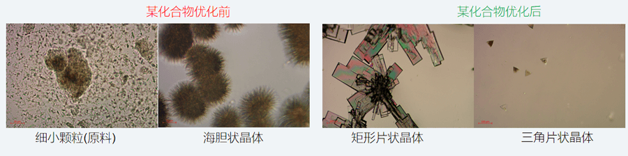 05案例分享-单晶培养，改变晶习.png