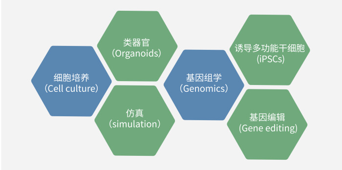 六大技术板块已上线，持续升级中.jpg