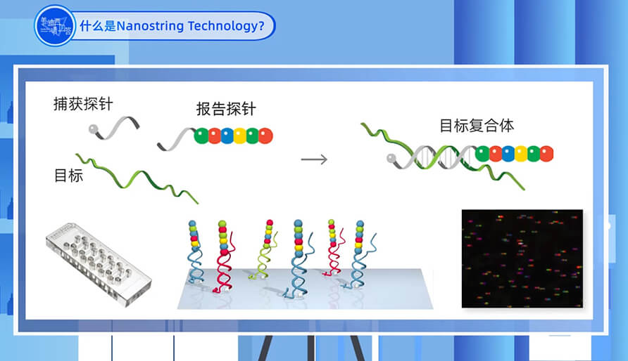 什么是Nanostring 技术？