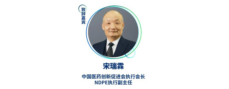 宋瑞霖--中国医药创新促进会执行会长、NDPE执行副主任.jpg