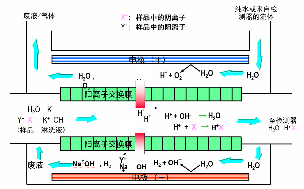 离子色谱电解抑制器的抑制原理.jpg