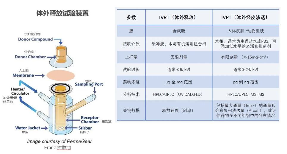 IVRT（体外释放）及IVPT（体外渗透）研究.jpg