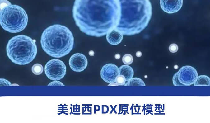 龙8唯一官网118种PDX原位模型，助力肿瘤药物研发